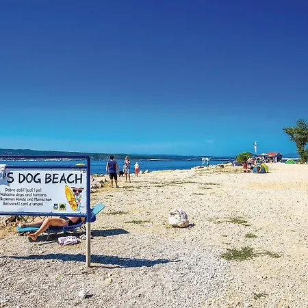 Apartment Cozy In With Wifi *