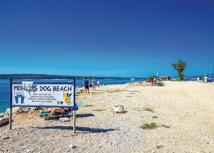 Daire Cozy In With Wifi *